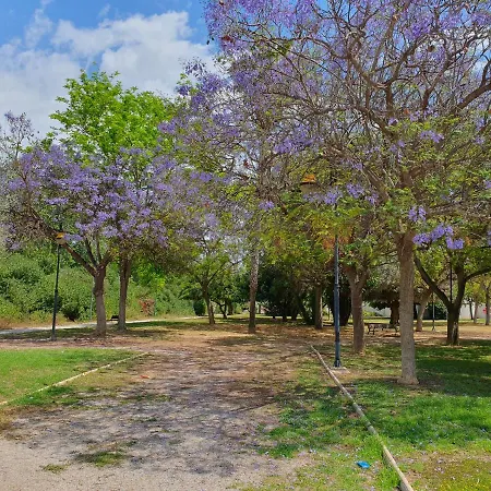 El.paraiso, * טורבייחה