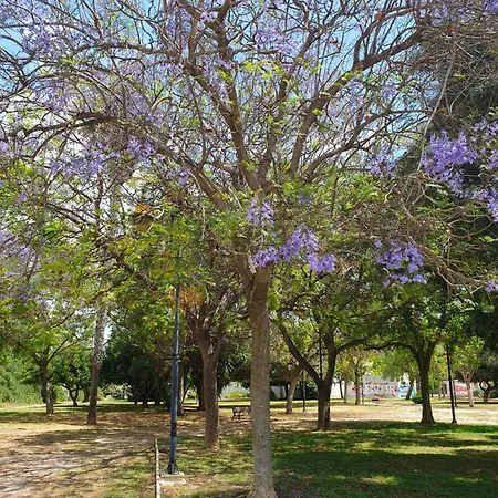 Apartman El.paraiso,
